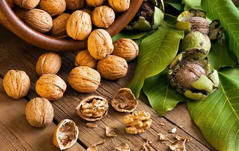 تصویر 3 از قیمت خرید مغز گردو مراغه + فروش ویژه